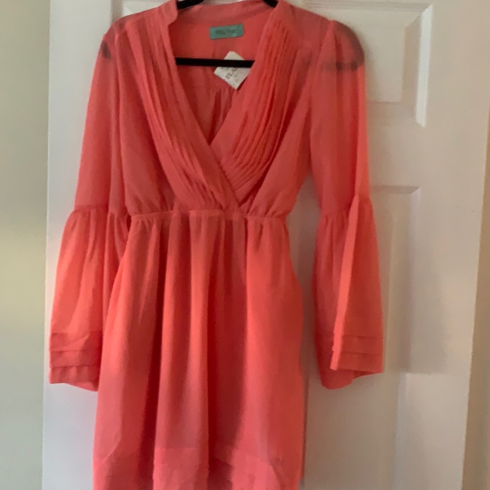 Pink  little above knee length dress. Never worn. Sheer sleeve with pockets